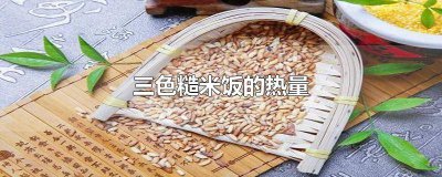 ​100克熟三色糙米饭的热量 200g三色糙米饭的热量