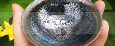 ​金色建盏有毒吗 建盏颜色有毒吗