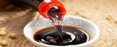 ​酱油是不是头发做的吗 酱油有头发做的吗