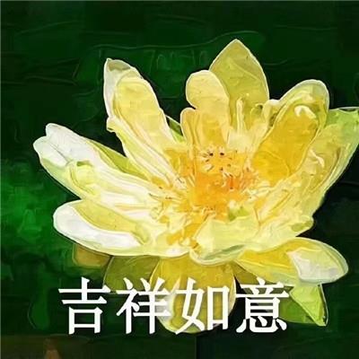 佛系莲花朋友圈带字表情包图片 心平气和四大皆空佛系微信表情包