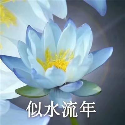 佛系莲花朋友圈带字表情包图片 心平气和四大皆空佛系微信表情包