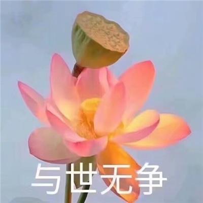 佛系莲花朋友圈带字表情包图片 心平气和四大皆空佛系微信表情包