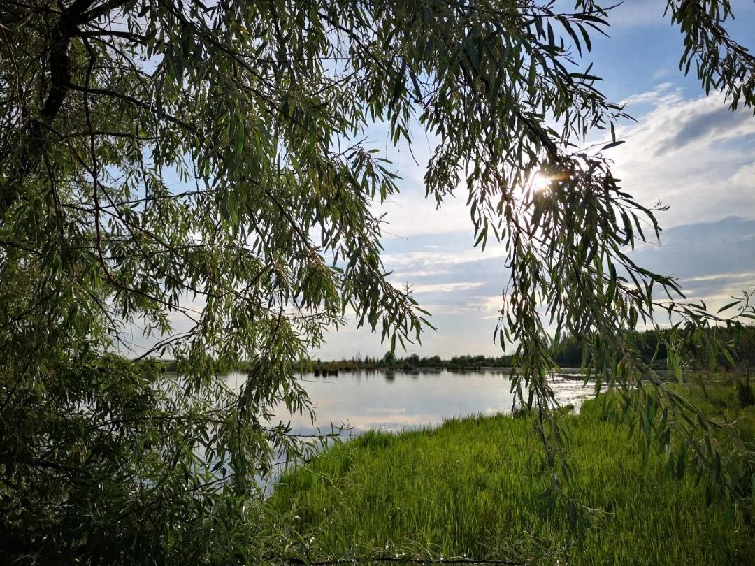 芳草湖美景如画，一个摄影者的天堂