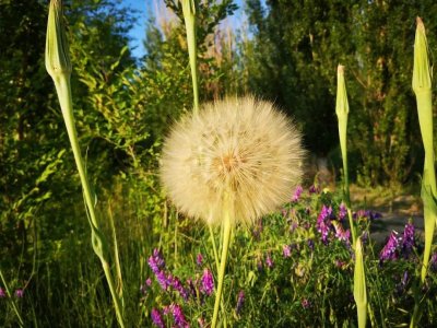 ​芳草湖美景如画，一个摄影者的天堂